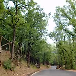 Camping 3* Gavín