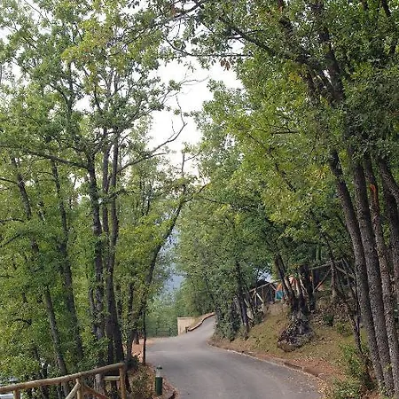 Hotel Camping Gavín