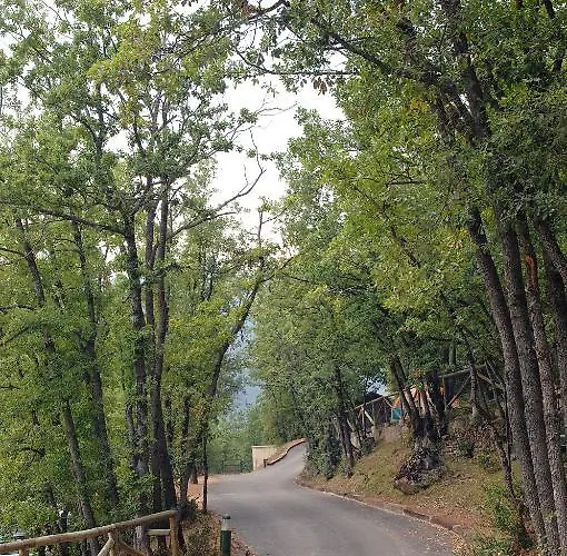 Hotel Camping Gavín